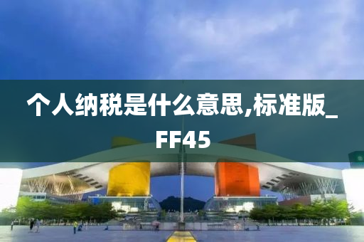 个人纳税是什么意思,标准版_FF45