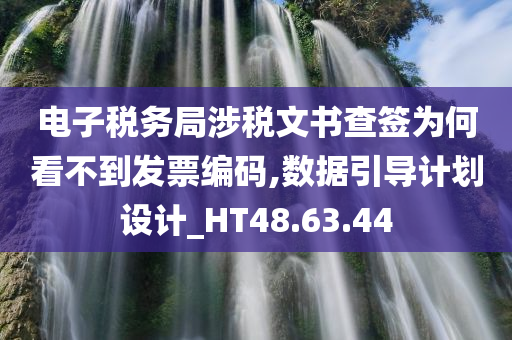 电子税务局涉税文书查签为何看不到发票编码,数据引导计划设计_HT48.63.44