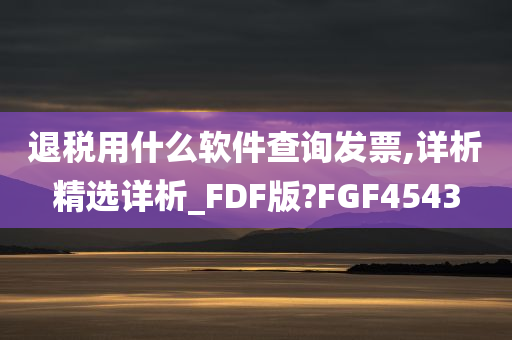 退税用什么软件查询发票,详析精选详析_FDF版?FGF4543