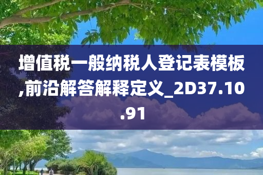 增值税一般纳税人登记表模板,前沿解答解释定义_2D37.10.91