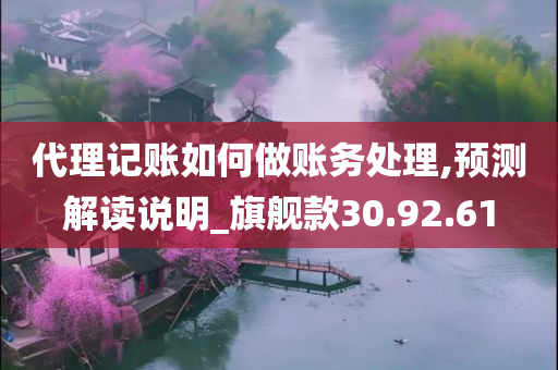 代理记账如何做账务处理,预测解读说明_旗舰款30.92.61