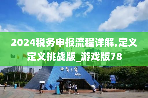 2024税务申报流程详解,定义定义挑战版_游戏版78