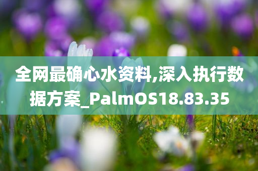 全网最确心水资料,深入执行数据方案_PalmOS18.83.35