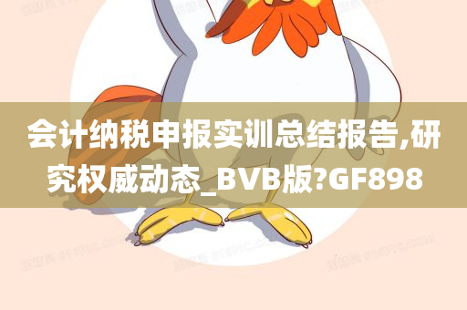 会计纳税申报实训总结报告,研究权威动态_BVB版?GF898