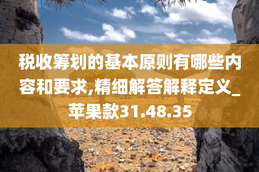 税收筹划的基本原则有哪些内容和要求,精细解答解释定义_苹果款31.48.35