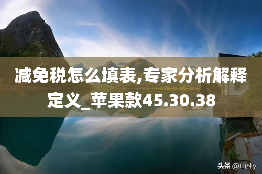 减免税怎么填表,专家分析解释定义_苹果款45.30.38