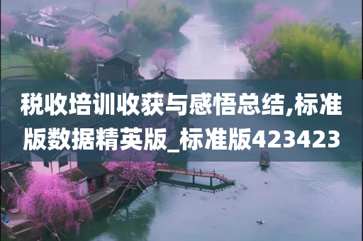 税收培训收获与感悟总结,标准版数据精英版_标准版423423