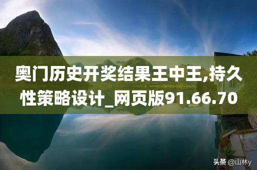 奥门历史开奖结果王中王,持久性策略设计_网页版91.66.70