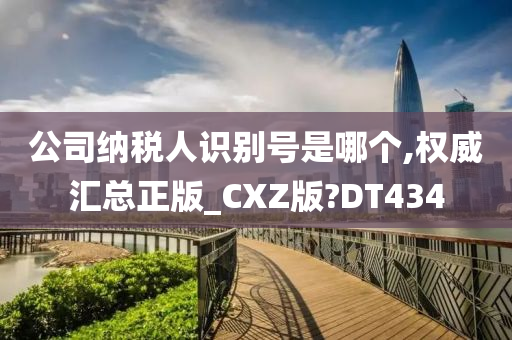 公司纳税人识别号是哪个,权威汇总正版_CXZ版?DT434