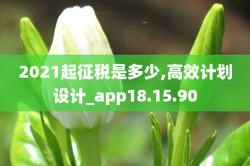 2021起征税是多少,高效计划设计_app18.15.90