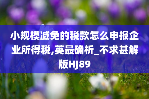 小规模减免的税款怎么申报企业所得税,英最确析_不求甚解版HJ89