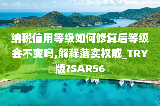 纳税信用等级如何修复后等级会不变吗,解释落实权威_TRY版?SAR56