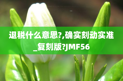 退税什么意思?,确实刻动实准_复刻版?JMF56