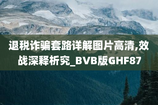 退税诈骗套路详解图片高清,效战深释析究_BVB版GHF87