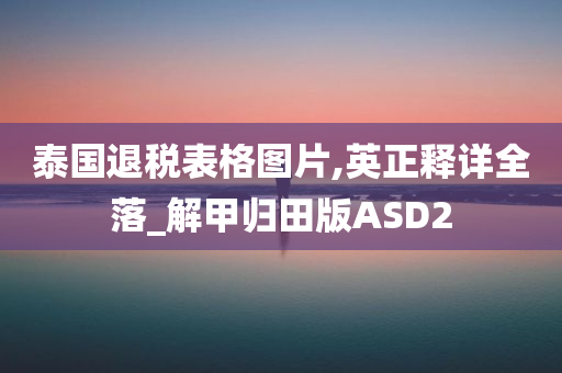 泰国退税表格图片,英正释详全落_解甲归田版ASD2