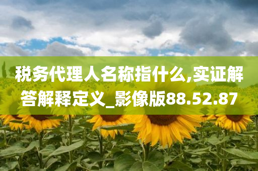 税务代理人名称指什么,实证解答解释定义_影像版88.52.87