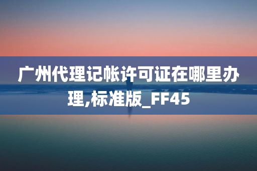 广州代理记帐许可证在哪里办理,标准版_FF45