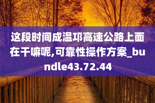 这段时间成温邛高速公路上面在干嘛呢,可靠性操作方案_bundle43.72.44