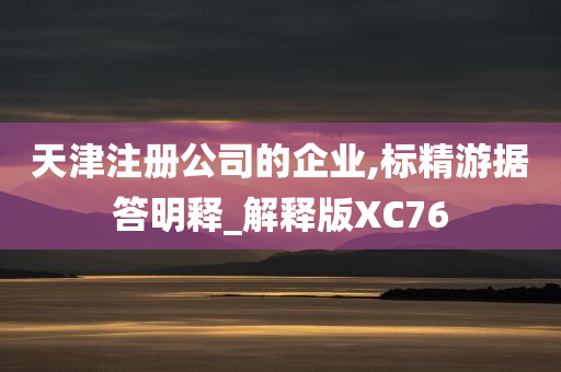 天津注册公司的企业,标精游据答明释_解释版XC76