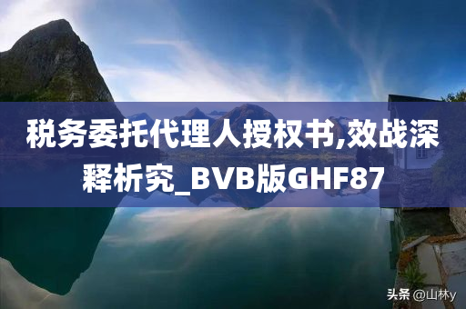 税务委托代理人授权书,效战深释析究_BVB版GHF87