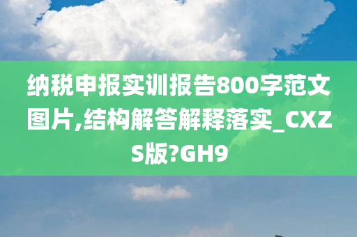 纳税申报实训报告800字范文图片,结构解答解释落实_CXZS版?GH9