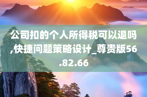 公司扣的个人所得税可以退吗,快捷问题策略设计_尊贵版56.82.66