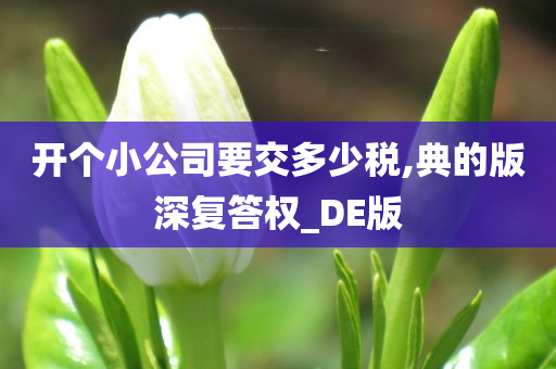 开个小公司要交多少税,典的版深复答权_DE版