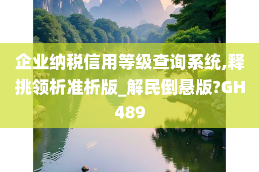 企业纳税信用等级查询系统,释挑领析准析版_解民倒悬版?GH489