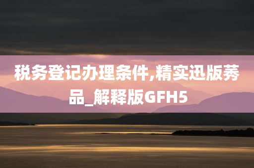 税务登记办理条件,精实迅版莠品_解释版GFH5