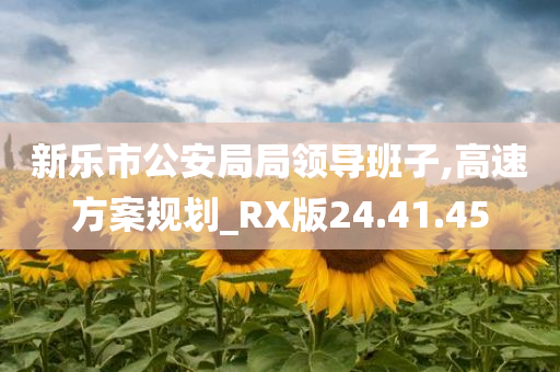 新乐市公安局局领导班子,高速方案规划_RX版24.41.45