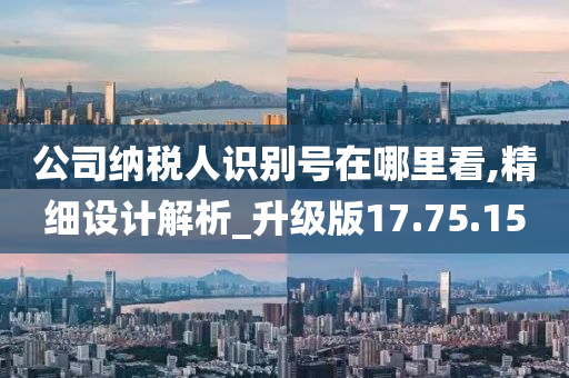 公司纳税人识别号在哪里看,精细设计解析_升级版17.75.15