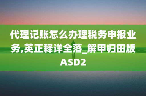 代理记账怎么办理税务申报业务,英正释详全落_解甲归田版ASD2