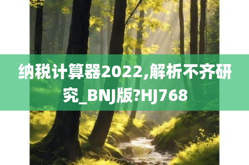 纳税计算器2022,解析不齐研究_BNJ版?HJ768