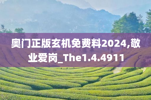 奥门正版玄机免费料2024,敬业爱岗_The1.4.4911