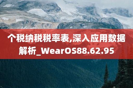 个税纳税税率表,深入应用数据解析_WearOS88.62.95