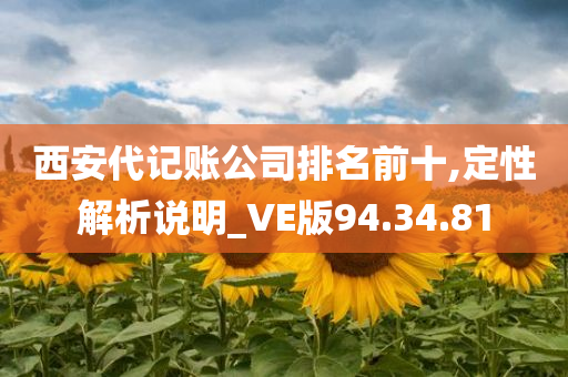 西安代记账公司排名前十,定性解析说明_VE版94.34.81