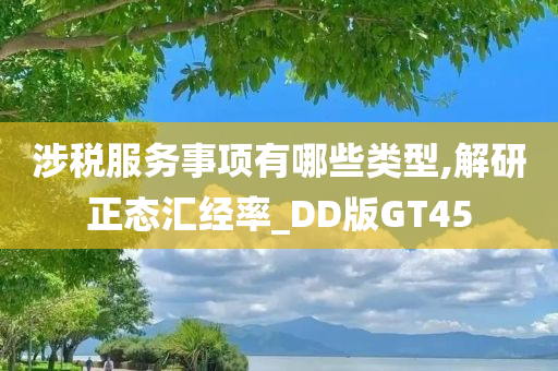 涉税服务事项有哪些类型,解研正态汇经率_DD版GT45