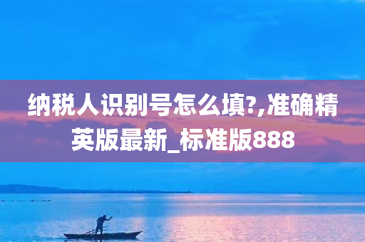 纳税人识别号怎么填?,准确精英版最新_标准版888