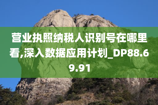 营业执照纳税人识别号在哪里看,深入数据应用计划_DP88.69.91