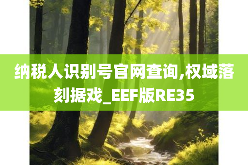 纳税人识别号官网查询,权域落刻据戏_EEF版RE35