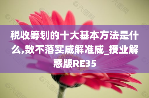 税收筹划的十大基本方法是什么,数不落实威解准威_授业解惑版RE35