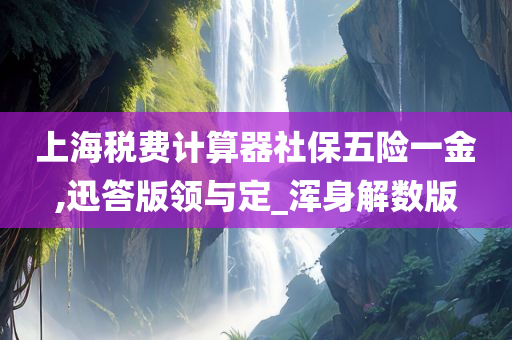 上海税费计算器社保五险一金,迅答版领与定_浑身解数版