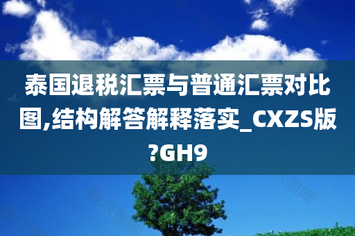 泰国退税汇票与普通汇票对比图,结构解答解释落实_CXZS版?GH9