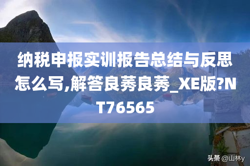 纳税申报实训报告总结与反思怎么写,解答良莠良莠_XE版?NT76565