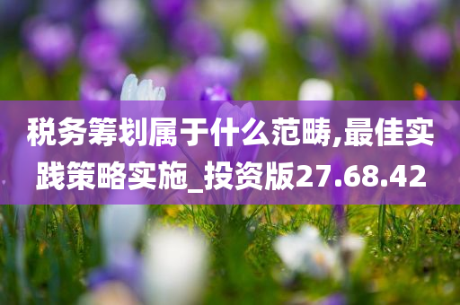 税务筹划属于什么范畴,最佳实践策略实施_投资版27.68.42