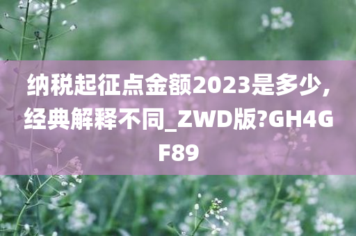 纳税起征点金额2023是多少,经典解释不同_ZWD版?GH4GF89