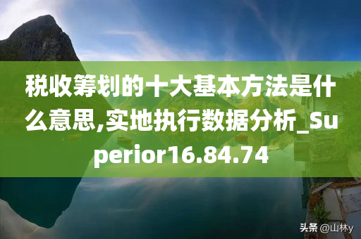 税收筹划的十大基本方法是什么意思,实地执行数据分析_Superior16.84.74