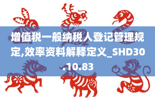 增值税一般纳税人登记管理规定,效率资料解释定义_SHD30.10.83