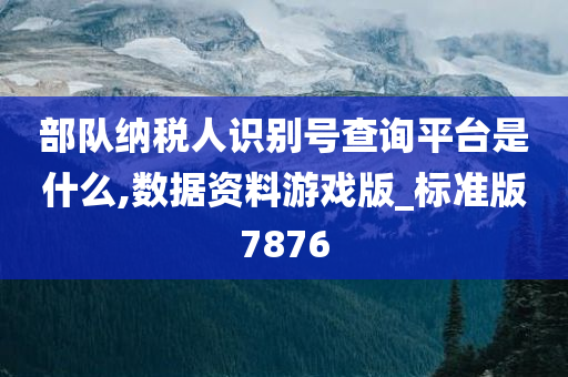 部队纳税人识别号查询平台是什么,数据资料游戏版_标准版7876