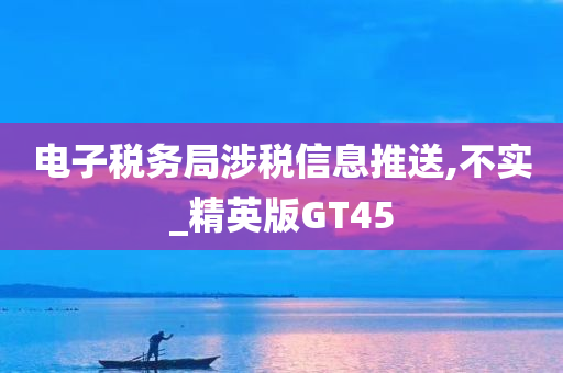 电子税务局涉税信息推送,不实_精英版GT45